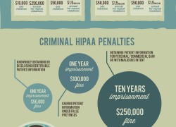 HIPAA Violation Infographic