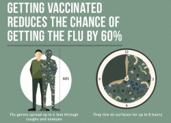 Getting Vaccinated Reduces Chance Getting Flu by 60 Percent