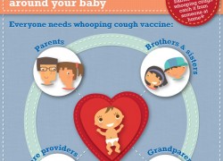 Whooping Cough Vaccine Infographic