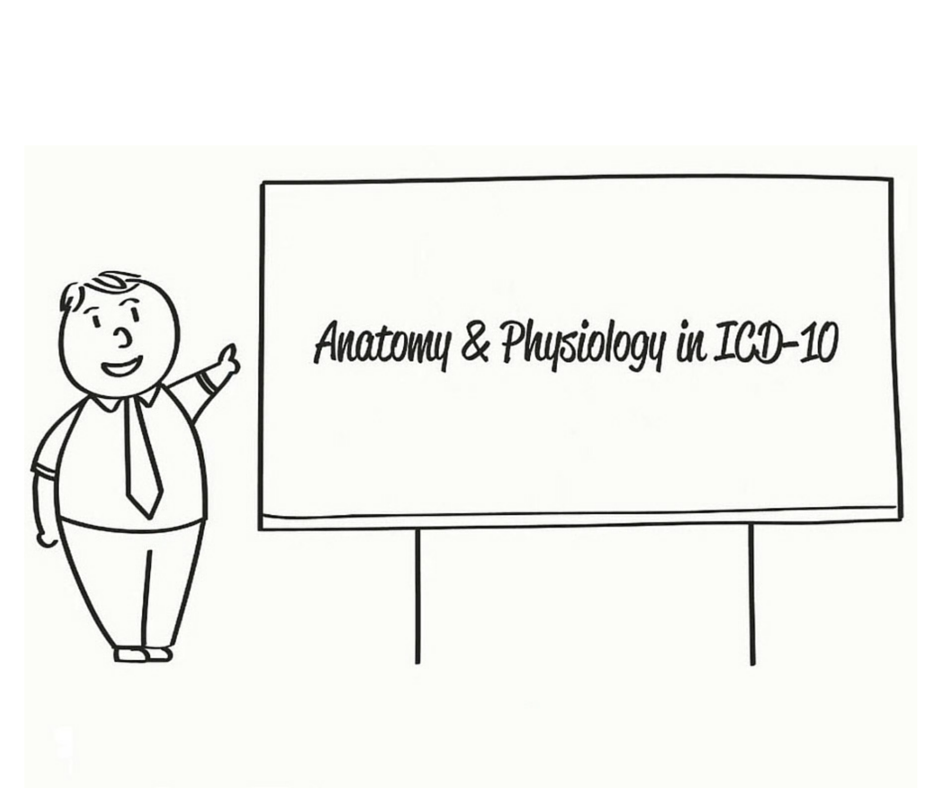 ICD-10 Basics: Anatomy & Physiology