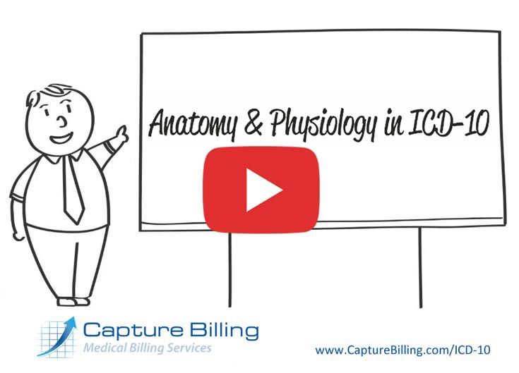 ICD-10 Basics | Anatomy and Physiology